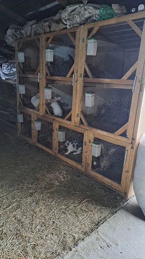 Cușcă iepuri  - imagine 2