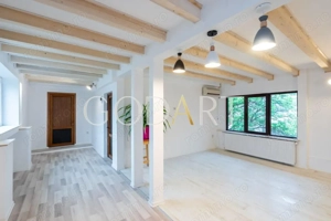 BIROURI | VILA | ULTRACENTRAL | PARCARE - imagine 23