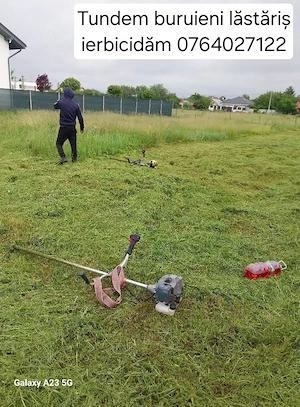 Tundem buruieni lăstăriș defrișări ierbicidăm săpăm  - imagine 2