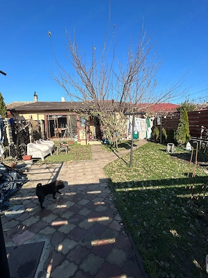 De vanzare casa in Constanta Poiana - imagine 3