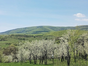 TEREN INTRAVILAN 1400 mp cu cabană și livadă, în Gârbova de Sus (Aiud), zonă liniștită, lângă pârâu - imagine 7