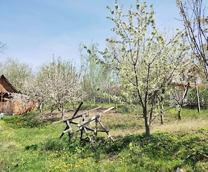 TEREN INTRAVILAN 1400 mp cu cabană și livadă, în Gârbova de Sus (Aiud), zonă liniștită, lângă pârâu - imagine 3