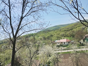 TEREN INTRAVILAN 1400 mp cu cabană și livadă, în Gârbova de Sus (Aiud), zonă liniștită, lângă pârâu - imagine 5