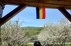 TEREN INTRAVILAN 1400 mp cu cabană și livadă, în Gârbova de Sus (Aiud), zonă liniștită, lângă pârâu - imagine 4