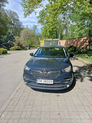 Vand Opel Grandland X - imagine 5