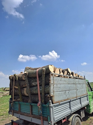vând lemne de foc esență tare cer,fag,carpen,stejar cantitate garantata  transport gratuit  lemnele  - imagine 4