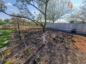 Casa individuala de vanzare cu 7 camere - Recas - imagine 14