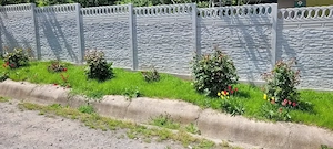 Vând casă la curte