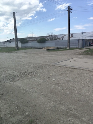 Ferma de vinzare in vInzare in com siria kud Arad - imagine 2