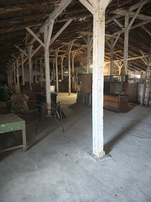 Ferma de vinzare in vInzare in com siria kud Arad - imagine 3