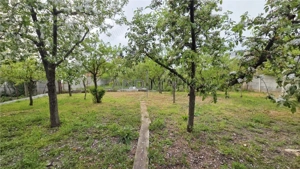 COMISION 0% CASA VECHE CU TEREN GENEROS DUMBRAVITA VATRA VECHE - imagine 14