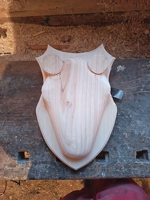 Panoplie și suport pentru motoare coarne 