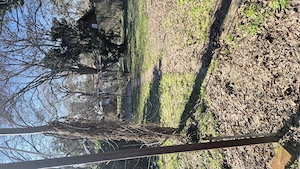 Închiriez casuta Strandul Neptun Arad - imagine 3