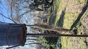 Închiriez casuta Strandul Neptun Arad - imagine 4