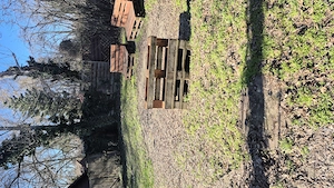 Închiriez casuta Strandul Neptun Arad - imagine 2