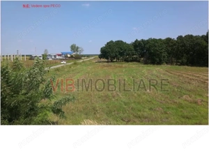 Craiova | Teren 17.400 mp | Deschidere 350 ml la DJ 552A | Între păduri de stejar - imagine 4