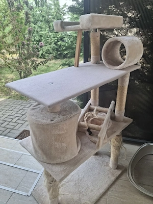 ofer gratuit pom pisici