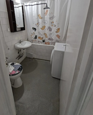 Apartament 2 camere Grigorescu - pet friendly - chirie animale de companie Cluj - Chirii Cluj Napoca - imagine 8