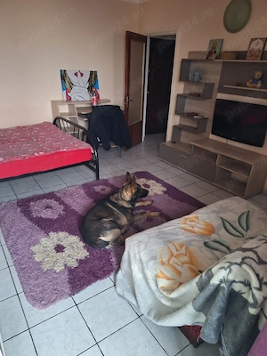 iancului etaj 11 semidecomandat - imagine 7