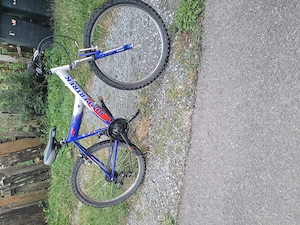 De vanzare 3 biciclete - imagine 5