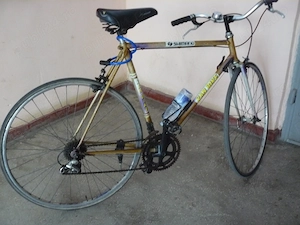 Bicicleta cursiera - imagine 2