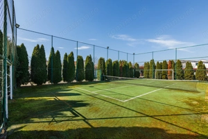 Casa deosebita cu teren de sport in zona semi centrala in Lugoj - imagine 2