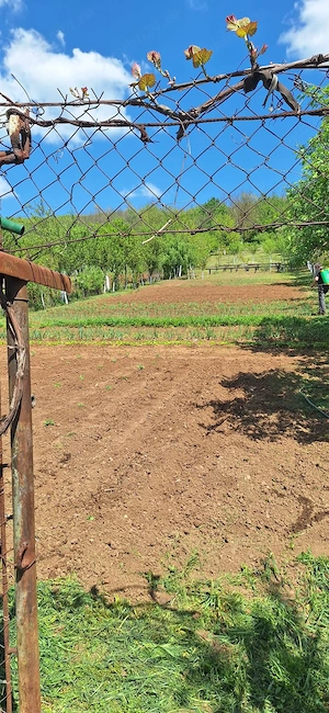 Vand casa la țara  - imagine 4