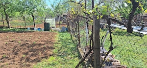 Vand casa la țara  - imagine 2