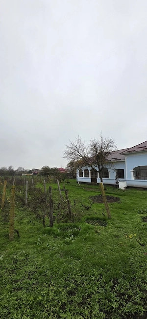 Casă de vânzare în Lița (Teleorman) - imagine 2