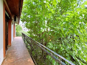 Vila Individuala Otopeni   Zona Lidl | 6 Camere (5 Dormitoare) | 223 mp Utili | Potential Business