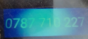 vând purcei  - imagine 4