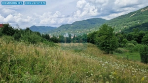 Teren de vanzare in Baia Sprie: 52 Ari, Parcelabil, Comision 0%