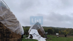 VIla de vanzare Teisani Stubeiu 11250 mp - imagine 7