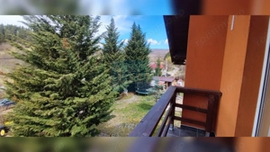 COMISION 0%! Casă 140 mp util, teren 4500 mp, PET FRIENDLY, Micești - imagine 17