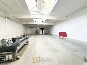 Hala industriala 421 mp Arad central, acces TIR, eficiență logistică - imagine 3