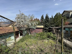 Casă deasupra Vilei Flora, curte dreaptă - imagine 3