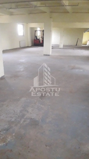 De vanzare / inchiriere hala industriala in Mosnita Noua, jud. Timis - imagine 3