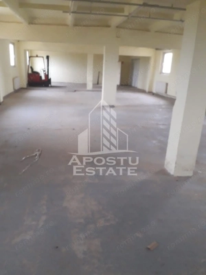 De vanzare / inchiriere hala industriala in Mosnita Noua, jud. Timis - imagine 2