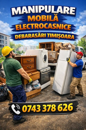 Debarasari si transport mutari , relocari mobila,deșeuri reciclabile cartoane ,lemne, saltele ,pat  