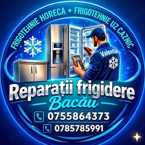 Reparații Frigidere Bacau 