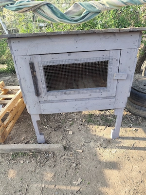 Cușcă pentru iepuri  