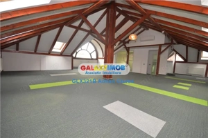 Vila 14 camere S+P+E1+M Arcul de Triumf Herastrau Kiseleff Casin - imagine 10