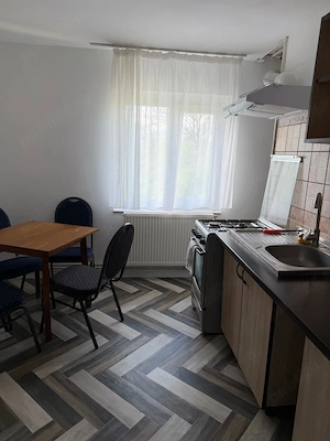 Apartament 2 Camere Ghermanesti Snagov - imagine 2