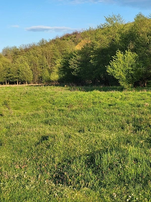 caut familie la 80 capre......