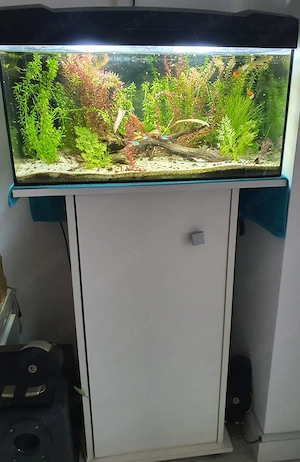 Acvariu 60l complet accesorizat + suport - imagine 2
