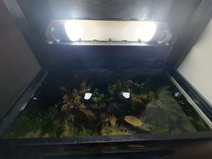 Acvariu 60l complet accesorizat + suport - imagine 4