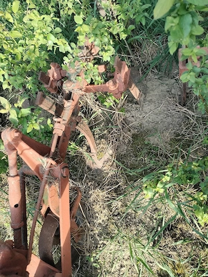 Prasitoare porumb 6 randuri - imagine 4