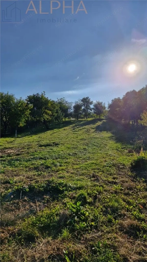 Casa traditionala + teren generos 2400 mp | 11 km de Bistrita  - imagine 8