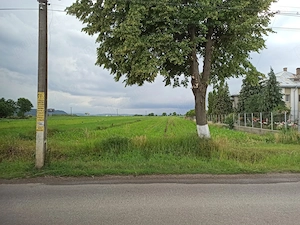 Teren intravilan in Patrauti