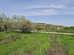 Teren extravilan langa Padurea Saru, direct de la proprietar! - imagine 2